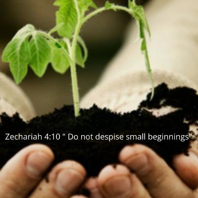 Startup Entrepreneurs. Do Not Despise Your Small Beginnings.
