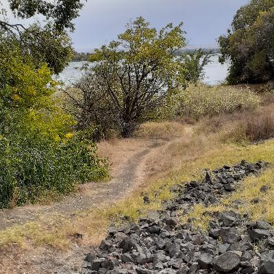 Defeating Depression Defeating Depression