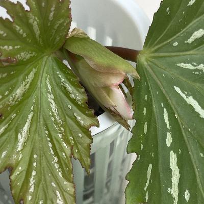 近况几则 近况几则