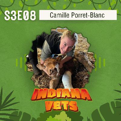 S03E08/ Camille Porret-Blanc: de salariée à dirigeante vétérinaire, des clés pour un management sincère et humain