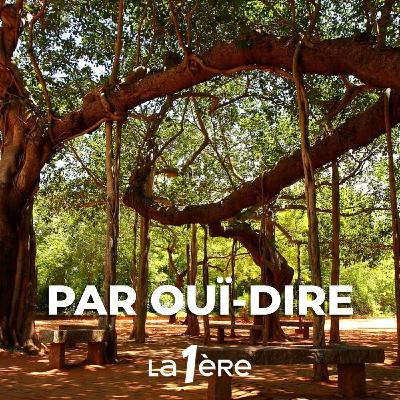 L'utopie où j'ai vécu, Auroville
