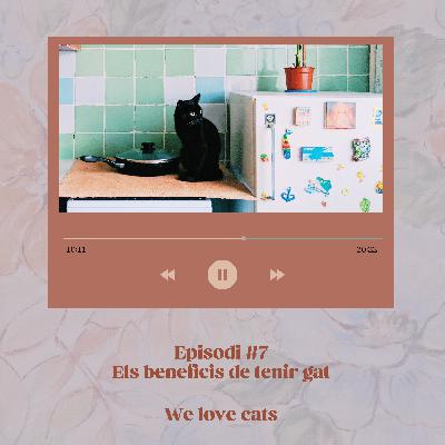 Episodi #7 - Beneficis per a la salut quan vius amb un o més gatetes 🐈‍⬛ ✨