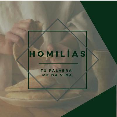 Homilías Homilías