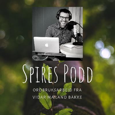 To fyrlys gjennom natt og tåke / Vidar Mæland Bakke