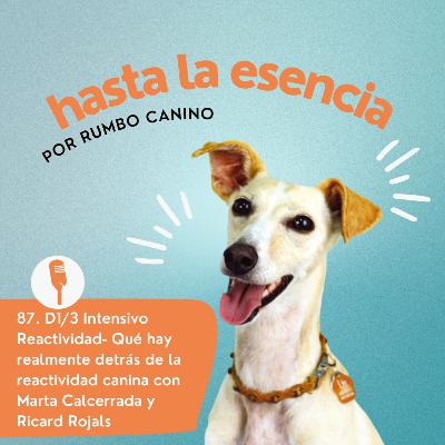 87. Especialista Reactividad Marzo 26 W1- Que hay realmente detrás de la reactividad canina. Y por qué muchos casos no mejoran aunque se apliquen técnicas correctas