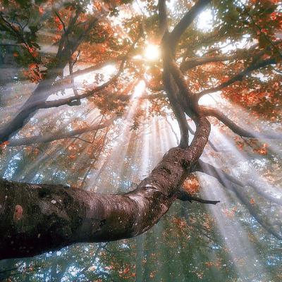 Podcast Mỗi Ngày - Bí Quyết Tha Thứ Dễ Dàng ( tập 32) Podcast Mỗi Ngày - Bí Quyết Tha Thứ Dễ Dàng ( tập 32)