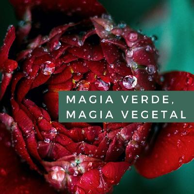Magia verde, magia vegetal. Cap. 1 O todo es magia o nada lo es