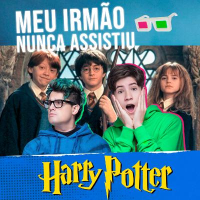 Meu irmão nunca assistiu - HARRY POTTER 1 Meu irmão nunca assistiu - HARRY POTTER 1