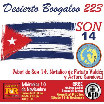 Desierto Boogaloo 223