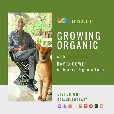 Growing organic with David Gower of Ambrosia Organic Farm | Episode 11