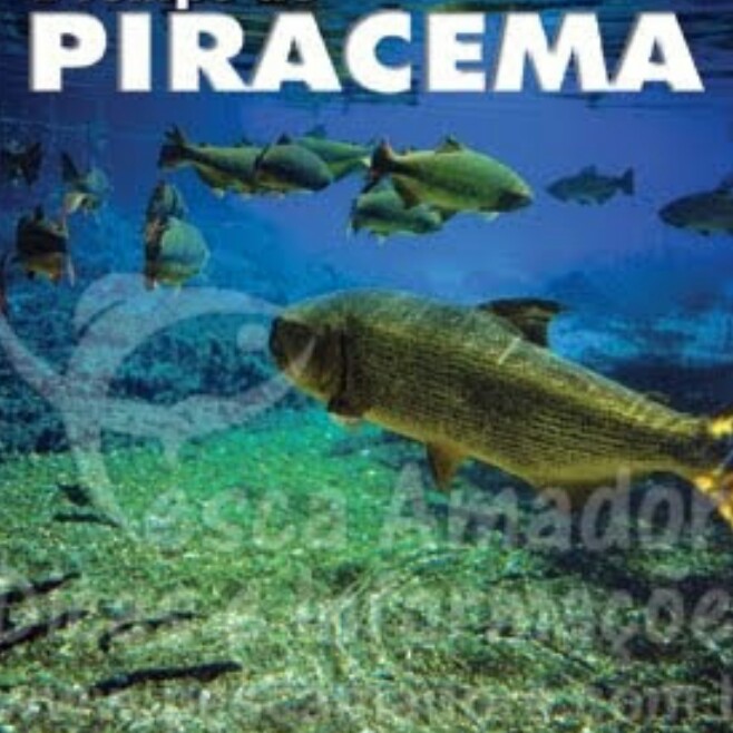 PIRACEMA: