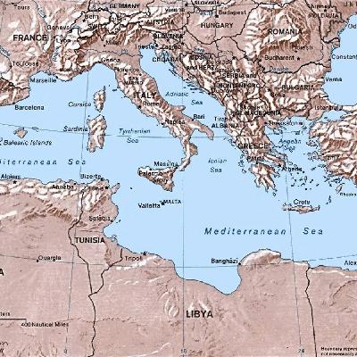 WILD - PODCAST ANIMALIERS # 162 - LE BASSIN MEDITERRANNEEN