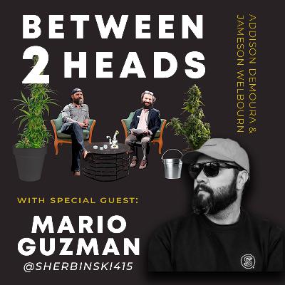 B2H presents Mario Guzman || Sherbinskis || Episode #7