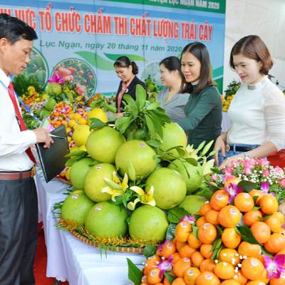 Bản tin vùng Đông Bắc ngày 19/11/2025