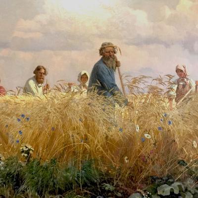 Vavilov, il contadino