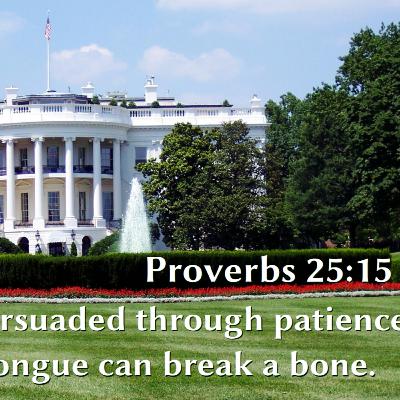 Proverbs - On Speech, Part 2