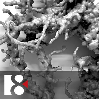 Jak se teologie radikalizovala? (4. prosince 2025)