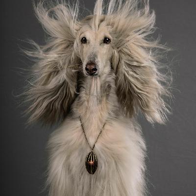 Episode 14: Portamento On Air #14 Episode 14: Portamento On Air #14