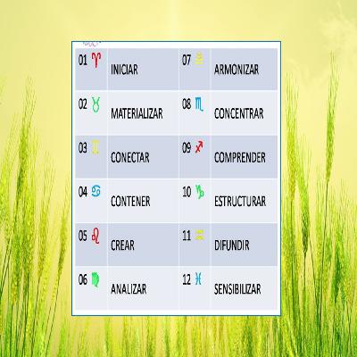 12 PASOS-16 12 PASOS-16