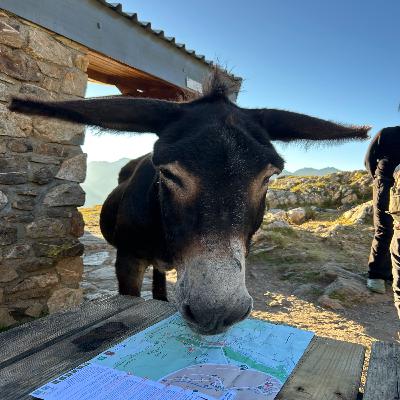 Rutas altas day 3 part 2 Rutas altas day 3 part 2