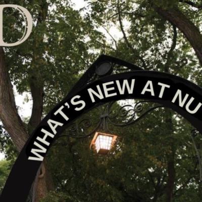 What’s New At NU: Territorial terror or ecological hero? The red-winged blackbird dilemma What’s New At NU: Territorial terror or ecological hero? The red-winged blackbird dilemma