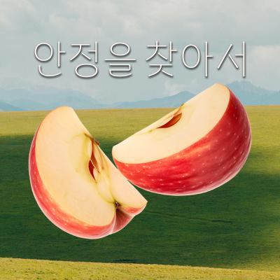 EP.16 30대 여자가 돌고 돌아 찾아낸 스트레스 특효약