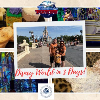 Disney Travel Tips: Port Orleans, Park Highlights, and Navigating Hurricane Milton