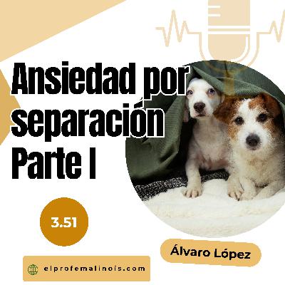 3.51 Ansiedad por Separación en Perros: Qué Es, Cómo Prevenirla y Errores a Evitar