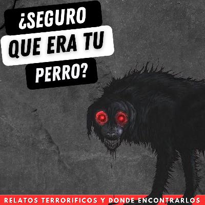 ¿Seguro que era tu perro? by Bhatgo ¿Seguro que era tu perro? by Bhatgo