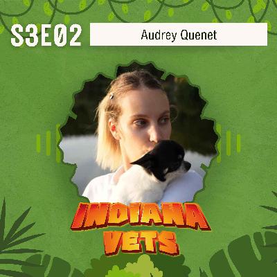 S03E02/ Interview de Audrey Quenet, comportementaliste félin, ASV et e-ASV !