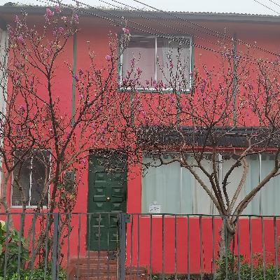 El ejercicio pedagógico y la reflexión filosófica de la Infancia El ejercicio pedagógico y la reflexión filosófica de la Infancia