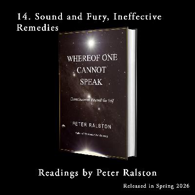 14. Sound and Fury, Ineffective Remedies - Whereof One Cannot Speak - Readings By Peter Ralston