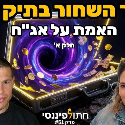 אג"ח למתחילים: איך לפצח את החור השחור בתיק ההשקעות שלך - חלק א - גת מגידו בפרק 51 -חתול פיננסי