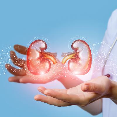 MCCRC Podcast: Looking at the Patient Perspective for those with Kidney Disease with Richard Knight MCCRC Podcast: Looking at the Patient Perspective for those with Kidney Disease with Richard Knight