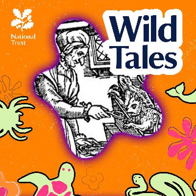 Halloween Special | Witches' Familiars Halloween Special | Witches' Familiars