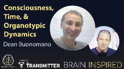 BI 210 Dean Buonomano: Consciousness, Time, and Organotypic Dynamics