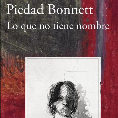 Audiolibro Lo que no tiene nombre - Piedad Bonnet - Episodio 5