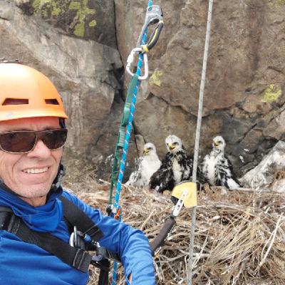 Icons of the wild: bald and golden eagles
