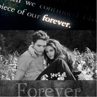 Twilight’s book review 💕