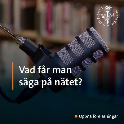 Vad får man säga på nätet?