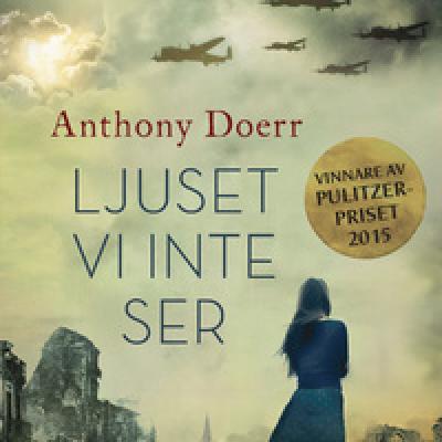 Download Now [PDF/BOOK] Ljuset vi inte ser Full Access