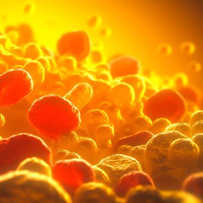 S4:EP4 Appetite for Change: The Obesity Epidemic Meets Biotech S4:EP4 Appetite for Change: The Obesity Epidemic Meets Biotech