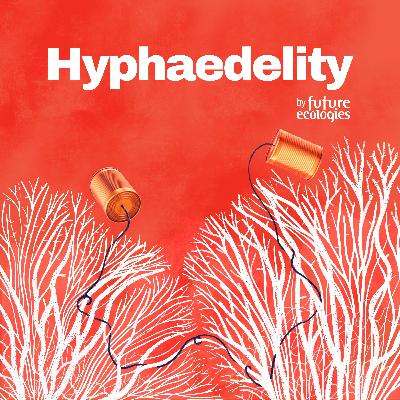 [HYPHAEDELITY] Sarah Jim x Lucas Glenn: Ecologically-engaged art