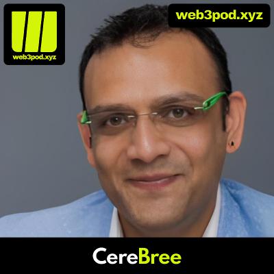 309: Building a Platform for Life: How Sunil Raina’s CereBree Is Redefining AI and Web3