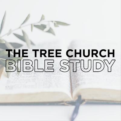 Get To Know Your Bible: How Did We Get Our Bible?