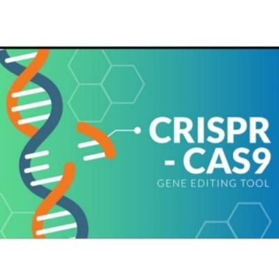 CRISPR como herramienta de edición genética y sus aplicaciones CRISPR como herramienta de edición genética y sus aplicaciones