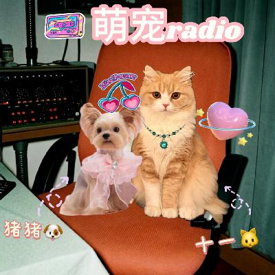 【EP22宠物】我们小时候竟是“虐宠狂魔”?现在跪舔猫狗赎罪中! 【EP22宠物】我们小时候竟是“虐宠狂魔”?现在跪舔猫狗赎罪中!