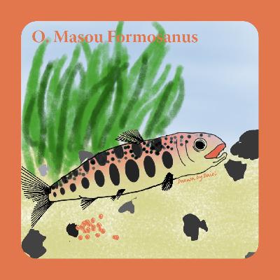 EP49 瀕臨絕種的櫻花鉤吻鮭