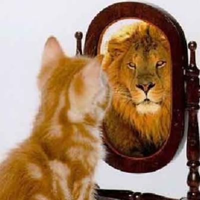 Iguales o diferentes?