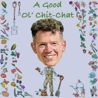 Ep43: A Good Ol' Chit-Chat With... Nate Moss